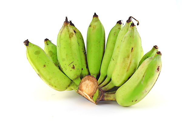 포토 JPG 해외이미지 나무 식물 라이프스타일 선 음식 잎 농업 다이어트 과일 재료 태국 자연 바나나 건강 사람없음 야외 초록색 여름 빛 농작물 농장 성장 가을 흰색 신선 그룹 달콤 아침식사 다발 먹기 오브젝트 상쾌 유기농 내추럴 고립 숙성 해외202004 해외포토 웰빙 계절 감정 산업 아시아 컬러 모션 생활 식사 맛 생태계 파일형식 이미지허브