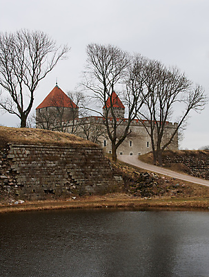 포토 JPG 해외이미지 나무 잎 자연 아침 날씨 풍경 사람없음 야외 침묵 산책로 추위 안개 가을 숲 신비 무서움 장면 해외202004 해외포토 주간 식물 계절 감정 길 컨셉 소리 생태계 파일형식 이미지허브