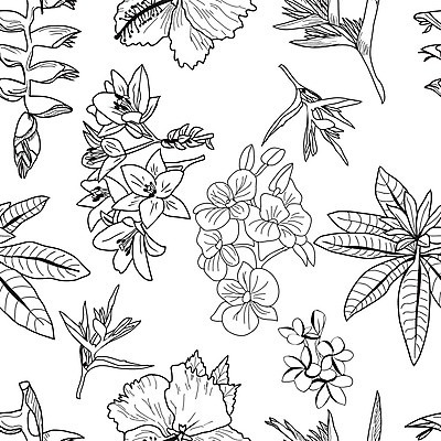 EPS 해외이미지 식물 디자인 꽃 여행 백그라운드 잎 꽃무늬 패턴 일러스트 자연 휴가 그래픽 장식 세트 정원 벚꽃 신용카드 난초 인쇄 스케치 수집 그림 하와이 손그림 내추럴 스크랩북 엘리먼트 이국적 하와이인 히비스커스 해외202004 해외일러스트 외국인 무늬 미술 금융 미국 생태계 파일형식 벡터 이미지허브