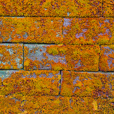 포토 JPG 해외이미지 벽 백그라운드 패턴 건축양식 표면 벽돌 주택 사람없음 건물 장식 우주 페인트 블록 흰색 시골 묘사 질감 시멘트 점토 벽돌담 직사각형 고체 옛날 줄서기 해외202004 해외포토 도형 건축물 건축 컬러 무늬 모션 담장 파일형식 이미지허브