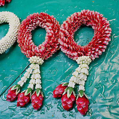 포토 JPG 해외이미지 꽃 아시아 종교 문화 여행 불교 태국 사람없음 장식 장미 화환 인사 사찰 난초 싱글 방콕 명예 존경 해외202004 해외포토 식물 나라 종교건축 예절 파일형식 이미지허브