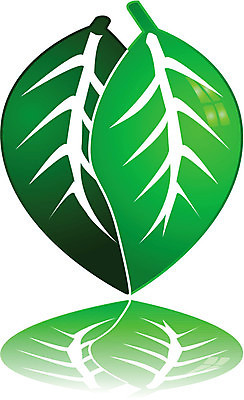 EPS 해외이미지 클립아트 나무 식물 지구 컨셉 잎 일러스트 포옹 자연 사랑 미술 그래픽 초록색 빛 반사 환경 하트 메시지 보호 연결 광택 내추럴 돌봄 생태학 해외202004 해외일러스트 모양 교육 감정 컬러 안기 모션 문화예술 생태계 파일형식 벡터 이미지허브