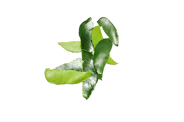 포토 JPG 해외이미지 식물 길 음식 백그라운드 잎 농업 채소 과일 재료 태국 자연 귤 요리 동양인 사람없음 치료 초록색 주방 스파 샐러드 수확 흰색 신선 시장 수프 레몬 허브 향신료 오브젝트 유기농 매움 날것 향기 냄새 아로마 라임 레시피 고립 해외202004 해외포토 웰빙 산업 아시아 컬러 의학 인종 맛 생태계 향미료 파일형식 이미지허브