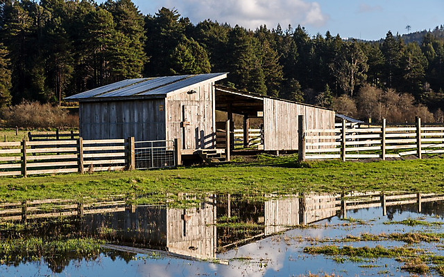 포토 JPG 해외이미지 외관 벽 백그라운드 밭 농업 건축양식 자연 하늘 주택 풍경 사람없음 야외 내부 건물 목재 물 여름 빛 농가 농장 반사 문 목장 방 수확 골동품 시골 땅 버리기 복고 캘리포니아 헛간 외양간 그런지 깨짐 밭일 썩음 옛날 판잣집 해외202004 해외포토 자연요소 나무 건축물 계절 건축 산업 컨셉 재료 모션 미국 생태계 저장고 파일형식 이미지허브