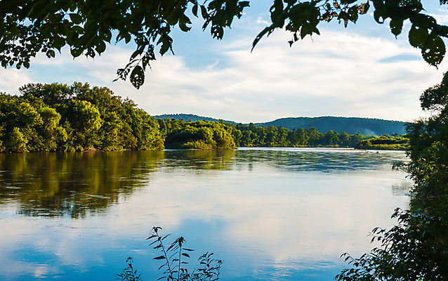 포토 JPG 해외이미지 나무 구름 야생동물 백그라운드 잎 곡선 하늘 풍경 사람없음 가로 초록색 물 파란색 강 일출 환경 일몰 새벽 흐름 추위 안개 가을 저녁 숲 땅 북극 러시아 지역 해외202004 해외포토 자연요소 식물 동물 계절 유럽 선 컬러 컨셉 날씨 노을 야간 극지방 파일형식 이미지허브
