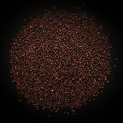 포토 JPG 해외이미지 사람없음 검은색 낟알 향신료 겨자씨 해외202004 해외포토 컬러 씨앗 향미료 파일형식 이미지허브