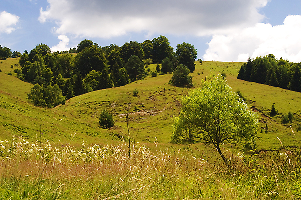 포토 JPG 해외이미지 구름 자연 하늘 풍경 사람없음 초록색 파란색 환경 내추럴 해외202004 해외포토 자연요소 컬러 생태계 파일형식 이미지허브