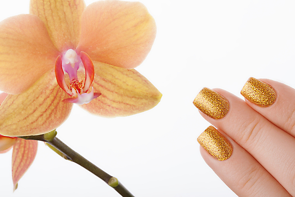 포토 JPG 해외이미지 손 꽃 캠페인 크리스마스 손가락 휴가 새로움 사람없음 빛 컬러풀 장난감 유행 페인트 화장품 덮개 축하 못 황금 손톱관리 손톱 연도 광택 개선 니스 돌봄 아크릴 해외202004 해외포토 식물 기념일 컬러 컨셉 모션 재질 신체부위 뷰티 뚜껑 공구 네일아트 파일형식 이미지허브