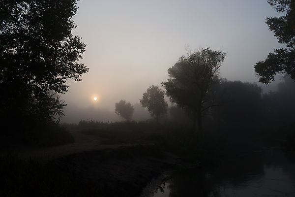 포토 JPG 해외이미지 나무 실루엣 호수 자연 아침 날씨 풍경 사람없음 야외 물 강 태양 일출 침묵 새벽 추위 안개 숲 신비 지역 해외202004 해외포토 주간 자연요소 식물 컨셉 촬영기법 노을 소리 생태계 파일형식 이미지허브