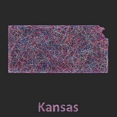 EPS 해외이미지 디자인 실루엣 선 지도 곡선 일러스트 미술 빨간색 파란색 검은색 미국 어둠 줄무늬 흰색 경계선 라인아트 그림 윤곽 영토 부화 해외202004 해외일러스트 컬러 북아메리카 무늬 문화예술 촬영기법 경계 파일형식 벡터 이미지허브