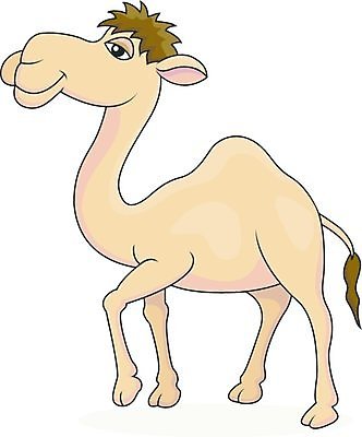 EPS 해외이미지 클립아트 동물 캐릭터 1 디자인 행복 얼굴 일러스트 포유류 아프리카 기술 미술 서기 미소 달리기 갈색 사막 흰색 만화 싱글 그림 꼬리 클립 낙타 혹 고립 스타일 해외202004 해외일러스트 일러캐릭터 감정 나라 컬러 모션 문화예술 표정 신체부위 파일형식 벡터 이미지허브