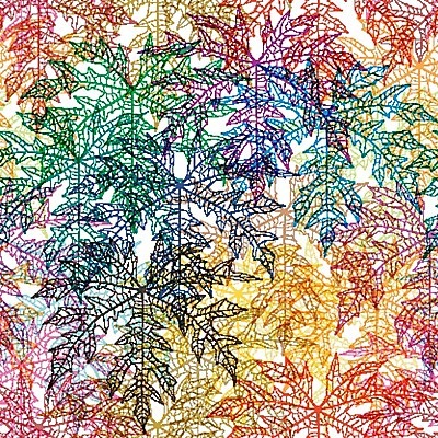 EPS 해외이미지 나무 식물 디자인 계절 백그라운드 단풍 잎 꽃무늬 일러스트 자연 추상 건조 골격 여름 세트 봄 가을 흰색 나뭇가지 투명 질감 정맥 내추럴 고립 떠남 엘리먼트 해외202004 해외일러스트 꽃 컬러 무늬 모션 생태계 혈관 파일형식 벡터 이미지허브