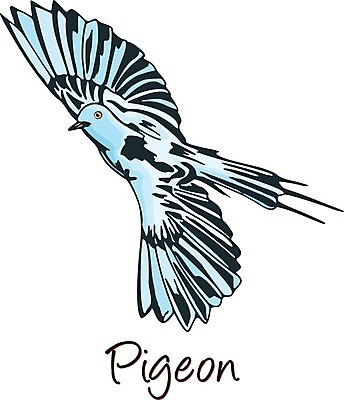 EPS 해외이미지 동물 척추동물 야생동물 날개 일러스트 자연 조류 초식동물 동물원 미술 파란색 반려동물 흰색 깃털 그림 비둘기 부리 고립 동물상 이국적 해외202004 해외일러스트 컬러 문화예술 조형물 생태계 파일형식 벡터 이미지허브