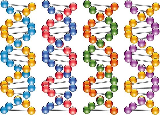 EPS 해외이미지 모델 과학 백그라운드 패턴 신체 일러스트 목걸이 자연 추상 세포 나선형 건강 사람 빨간색 초록색 파란색 컬러풀 약 노란색 3D 정보 흰색 닫기 암호 DNA 생명공학 유기농 생물학 염색체 공학 고립 더블 물리학 유전 생존 해외202004 해외일러스트 웰빙 교육 컬러 무늬 장신구 의학 모션 디지털합성 생태계 물리 파일형식 벡터 이미지허브