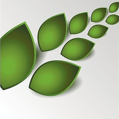 EPS 해외이미지 클립아트 모양 나무 식물 템플릿 디자인 선 백그라운드 컨셉 잎 일러스트 자연 벽지 추상 프레임 미술 그래픽 장식 초록색 여름 유행 디지털 봄 공백 재활용 그림 에코 질감 리빙 내추럴 바이오 발생 엘리먼트 스타일 카피스페이스 해외202004 해외일러스트 계절 컬러 무늬 문화예술 환경 친환경 생태계 파일형식 벡터 이미지허브