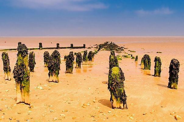 포토 JPG 해외이미지 구름 모래 바다 이동 자연 하늘 풍경 사람없음 목재 여름 파란색 컬러풀 태양 해조류 저녁 부식 옛날 줄서기 해일 해외202004 해외포토 자연요소 나무 계절 컬러 컨셉 재료 모션 해양식물 야간 자연재해 생태계 파일형식 이미지허브