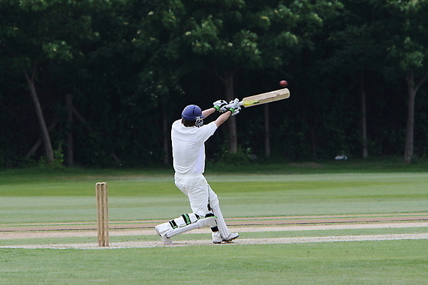 포토 JPG 해외이미지 스포츠 공 사람없음 달리기 경기장 그네 박쥐 점수 구김 귀뚜라미 때리기 타격 플레이어 해외202004 해외포토 곤충 포유류 스포츠시설 모션 파일형식 이미지허브