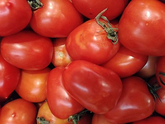 포토 JPG 해외이미지 길 음식 백그라운드 토마토 채소 재료 사람없음 빨간색 초록색 신선 케첩 자르기 구성 숙성 해외202004 해외포토 컬러 모션 소스_음식 파일형식 이미지허브