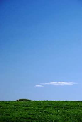 포토 JPG 해외이미지 구름 계절 야생동물 밭 자연 하늘 날씨 풍경 잔디 사람없음 야외 초록색 여름 파란색 햇빛 태양 노란색 우주 환경 침묵 봄 기쁨 자유 수확 시골 보호 땅 심플 조경 장면 천국 넘어짐 수평선 해외202004 해외포토 자연요소 식물 동물 감정 컬러 컨셉 농업 모션 소리 생태계 파일형식 이미지허브