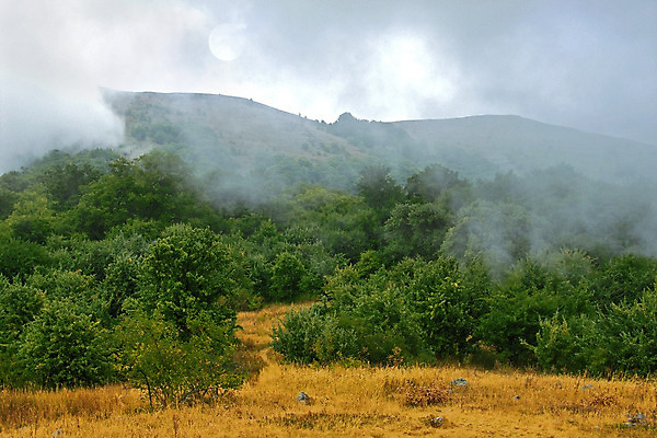 포토 JPG 해외이미지 나무 구름 자연 날씨 새로움 사람없음 야외 물 빛 반사 어둠 침묵 젖음 슬픔 안개 광선 바위 죽음 시간 숲 신비 땅 장면 신성 폭풍 안녕 내추럴 해외202004 해외포토 자연요소 식물 감정 컨셉 소리 돌_바위 인사 생태계 파일형식 이미지허브