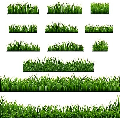 EPS 해외이미지 나무 식물 계절 공원 백그라운드 잎 밭 일러스트 자연 바닥 잔디 사람없음 장식 초록색 여름 빛 농장 새싹 정원 봄 활발 신선 땅 오브젝트 질감 내추럴 해외202004 해외일러스트 공공시설 컬러 컨셉 농업 생태계 파일형식 벡터 이미지허브