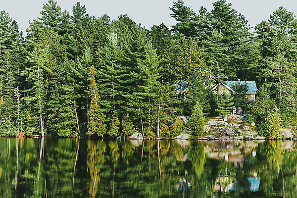 포토 JPG 해외이미지 나무 식물 라이프스타일 계절 공원 호수 여행 컨셉 잎 캐나다 건축양식 자연 하늘 주택 풍경 사람없음 야외 건물 목재 초록색 물 여름 강 반사 노란색 환경 맑음 미국 봄 하이킹 물방울 황무지 숲 땅 장면 내추럴 전국 해외202004 해외포토 자연요소 건축물 공공시설 건축 컬러 북아메리카 재료 레저 날씨 생활 생태계 파일형식 이미지허브