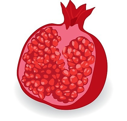 EPS 해외이미지 식물 디자인 음식 조각 백그라운드 다이어트 과일 일러스트 자연 건강 미술 빨간색 여름 컬러풀 주스 수확 흰색 신선 달콤 수집 심볼 오브젝트 유기농 질감 석류 내추럴 가넷 숙성 엘리먼트 채식주의자 해외202004 해외일러스트 웰빙 계절 음료 컬러 농업 문화예술 맛 보석 생태계 채식 파일형식 벡터 이미지허브