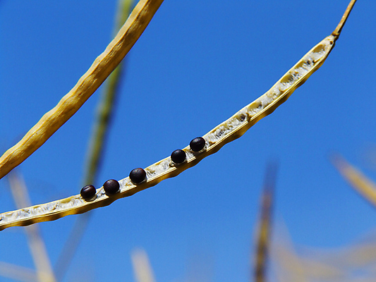 포토 JPG 해외이미지 사람없음 해외202004 해외포토 파일형식 이미지허브