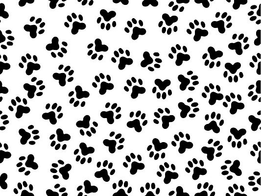 EPS 해외이미지 디자인 길 야생동물 패턴 일러스트 자국 미술 그래픽 검은색 고양이 흰색 유령 인쇄 발자국 은박지 흔적 흰배경 신분 윤곽 트랙 우표 추적 더블 선로 양발 자취 집게발 각인 해외202004 해외일러스트 동물 컬러 백그라운드 무늬 포유류 모션 문화예술 반려동물 파일형식 벡터 이미지허브