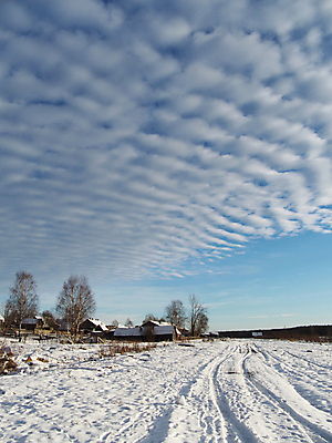 포토 JPG 해외이미지 나무 전통 외관 공원 종교 문화 길 십자가 겨울 건축양식 하늘 날씨 풍경 사람없음 목재 파란색 갈색 교회 골동품 흰색 기도 시골 역사 보호 숲 작음 서리 통나무 장면 구식 러시아인 선로 옛날 해외202004 해외포토 서양인 식물 계절 공공시설 건축 컬러 컨셉 재료 종교건축 건물 크기 파일형식 이미지허브