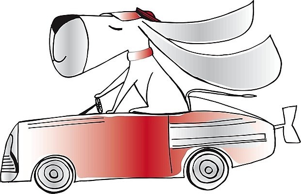 EPS 해외이미지 동물 1 도로 스포츠 컨셉 일러스트 장난 포유류 자동차 반려동물 힘 경쟁 운전 아기 레이싱 우승 바퀴 운전사 끝 개 강아지 상패 속도 시작 준비 출발 무릎 위치 봉 공식 모터 송곳니 기르기 레이서 선로 승자 자동 챔피언 해외202004 해외일러스트 직업 길 육상교통 교통시설 모션 사람 시합 신체부위 최고 치아 상_우승 돌봄 파일형식 벡터 이미지허브