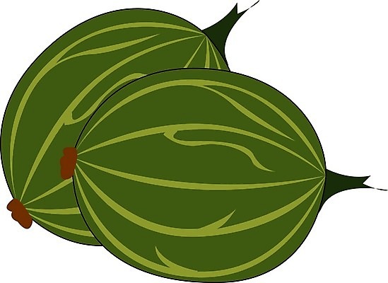 EPS 해외이미지 식물 열매 음식 백그라운드 잎 꽃무늬 패턴 다이어트 과일 일러스트 자연 딸기 디저트 건강 미술 그래픽 빨간색 초록색 여름 세트 정원 검은색 수확 흰색 나뭇가지 신선 체리 달콤 맛 스케치 수집 그림 블루베리 산딸기 내추럴 고립 구스베리 숙성 채식주의자 해외202004 해외일러스트 나무 계절 꽃 컬러 컨셉 무늬 농업 문화예술 생태계 채식 파일형식 벡터 이미지허브