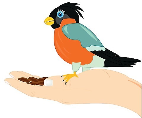 EPS 해외이미지 동물 일러스트 손가락 손바닥 씨앗 빨간색 식사 작음 먹이 깃털 흰배경 참새 헬프 해외202004 해외일러스트 식물 손 컬러 백그라운드 조류 흰색 도움 크기 파일형식 벡터 이미지허브