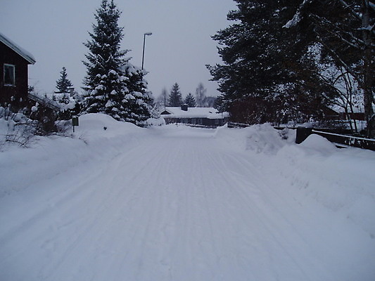 포토 JPG 해외이미지 나무 도로 하늘 주택 사람없음 회색 인쇄 사인 트랙 자취 해외202004 해외포토 식물 길 컬러 교통시설 건물 파일형식 이미지허브