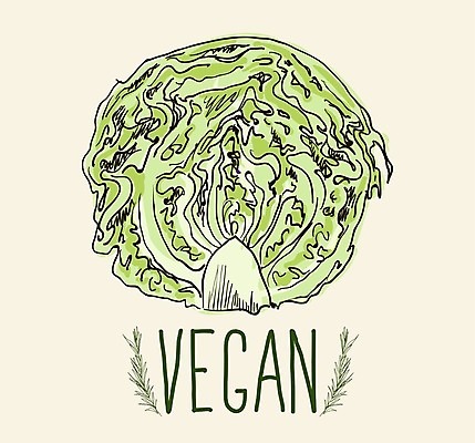 EPS 해외이미지 식물 길 음식 백그라운드 잎 다이어트 채소 일러스트 재료 자연 수채화 건강 저울 요리 미술 그래픽 초록색 농장 머리 정원 페인트 샐러드 수확 흰색 신선 원형 그룹 시장 만화 스케치 먹기 가득함 오브젝트 그림 유기농 양배추 날것 내추럴 고립 채식주의자 케일 해외202004 해외일러스트 도형 웰빙 컬러 농업 모션 문화예술 신체부위 생태계 채식 파일형식 벡터 이미지허브