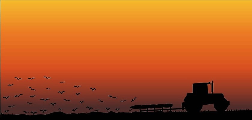 EPS 해외이미지 실루엣 농업 일러스트 하늘 미술 그래픽 빨간색 농장 농경지 일출 기계 일몰 목장 새벽 시골 농부 저녁 그림 윤곽 트랙터 밭일 쟁기 카피스페이스 해외202004 해외일러스트 자연요소 직업 산업 컬러 문화예술 촬영기법 노을 공백 야간 농기계 특수차량 파일형식 벡터 이미지허브