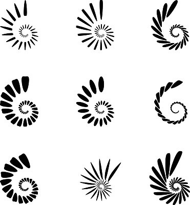 EPS 해외이미지 모양 편집 곡선 일러스트 추상 흑백 나선형 미술 그래픽 검은색 소용돌이 흰색 구부린 서식 첨탑 최면 미니멀 효과 해외202004 해외일러스트 선 컬러 무늬 모션 문화예술 촬영기법 탑 회오리 파일형식 벡터 이미지허브