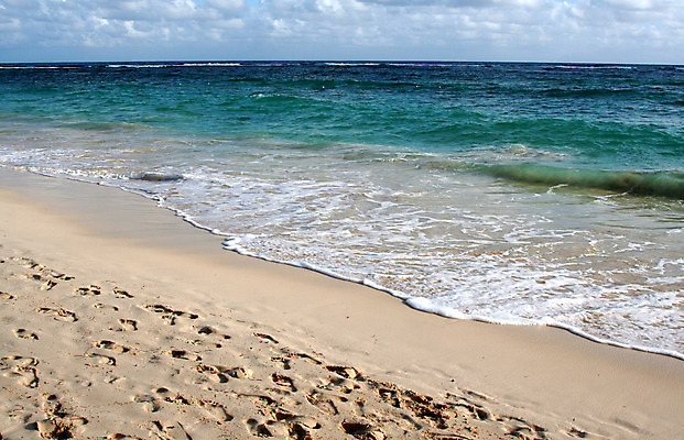 포토 JPG 해외이미지 물결 모래 파도 조류 휴가 휴식 사람없음 가로 물 놀람 습기 뜨거움 발자국 도미니카공화국 완벽 잔물결 파라다이스 수평선 해외202004 해외포토 자연요소 동물 감정 바다 컨셉 자국 표정 남아메리카 파일형식 이미지허브