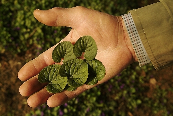 포토 JPG 해외이미지 1 라이프스타일 손 어린이 백그라운드 부분 손가락 아이디어 함께함 사람 손짓 사람없음 친구 빛 터치 흰색 가리킴 그룹 선택 정상 방향 심볼 사인 서식 쇼 언론 클릭 인덱스 팔 보여주기 고립 인터페이스 많음 해외202004 해외포토 컬러 컨셉 관계 모션 생활 신체부위 파일형식 이미지허브