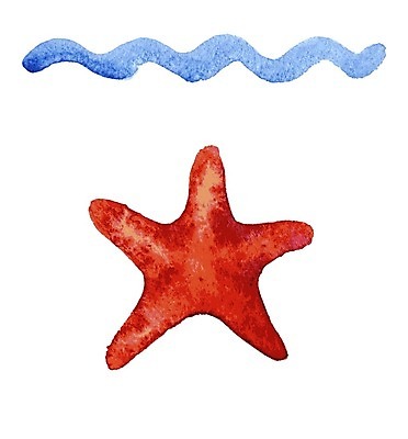 EPS 해외이미지 곡선 일러스트 수채화 불가사리 사람없음 빨간색 여름 손그림 물결무늬 해외일러스트 계절 물결 선 컬러 무늬 극피동물 파일형식 벡터 이미지허브