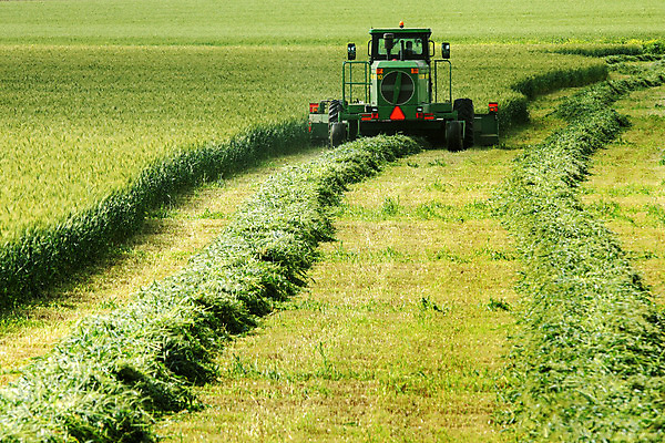 포토 JPG 해외이미지 식물 음식 밭 농업 자연 씨앗 풍경 사람없음 야외 초록색 여름 농장 봄 수확 성장 시골 결합 땅 밀 트랙터 동쪽 내추럴 압력 이스라엘 해외202004 해외포토 계절 산업 컬러 곡류 농기계 방향 생태계 특수차량 서아시아 파일형식 이미지허브