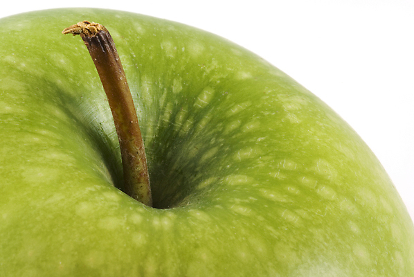 포토 JPG 해외이미지 할머니 음식 줄기 농업 과일 부분 건강 사람없음 초록색 흰색 신선 사과 오브젝트 흰배경 고립 대장장이 숙성 해외202004 해외포토 식물 여자 노년 산업 컬러 백그라운드 파일형식 이미지허브