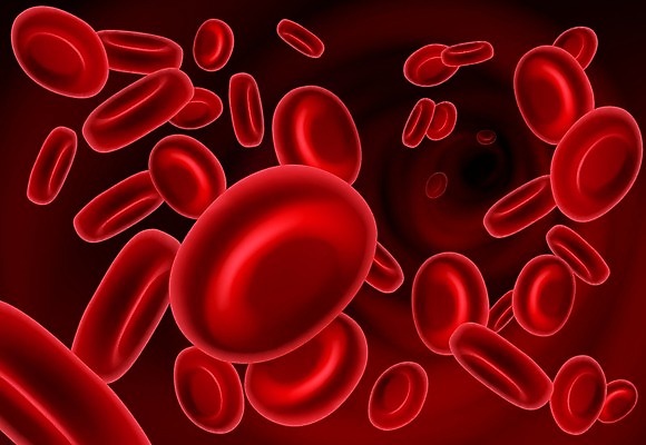 JPG 해외이미지 일러스트 세포 사람없음 빨간색 3D 적혈구 혈구 해외202004 해외일러스트 컬러 디지털합성 혈관 파일형식 이미지허브