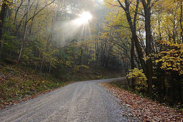 포토 JPG 해외이미지 나무 계절 공원 도로 여행 잎 자연 산 풍경 사람없음 야외 빨간색 컬러풀 노란색 가을 시골 숲 서쪽 해외202004 해외포토 식물 공공시설 길 컬러 교통시설 방향 생태계 파일형식 이미지허브