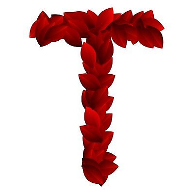 EPS 해외이미지 식물 캐릭터 디자인 알파벳 계절 꽃잎 꽃 컨셉 잎 꽃무늬 일러스트 텍스트 자연 빨간색 여름 세트 장미 정원 봄 활발 흰색 신선 편지 수집 심볼 오브젝트 사인 유기농 질감 생물학 타입 내추럴 T 고립 바이오 스타일 해외202004 해외일러스트 일러캐릭터 웰빙 영어 교육 컬러 무늬 생태계 파일형식 벡터 이미지허브