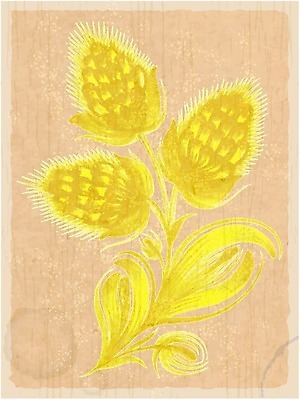 EPS 해외이미지 나무 손 디자인 꽃 백그라운드 잎 꽃무늬 패턴 일러스트 자연 수채화 미술 여러명 장식 여름 페인트 봄 수확 흰색 시간 신용카드 그리기 만화 질감 복고 손그림 부족 그런지 우크라이나 해외202004 해외일러스트 식물 계절 유럽 컬러 다수 컨셉 무늬 농업 모션 문화예술 사람 신체부위 금융 생태계 파일형식 벡터 이미지허브