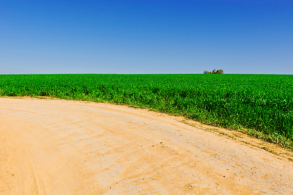 포토 JPG 해외이미지 나무 식물 계절 아시아 도로 지구 잎 밭 농업 자연 하늘 산 풍경 잔디 사람없음 야외 초록색 여름 파란색 햇빛 농장 농경지 계곡 흙 봄 수확 성장 시골 신선 중앙 그늘 땅 언덕 먼지 신성 동쪽 내추럴 땅바닥 밭일 이스라엘 팔레스타인 수평선 세련 해외202004 해외포토 나라 산업 길 컬러 중동 교통시설 바닥 태양 방향 생태계 서아시아 파일형식 이미지허브