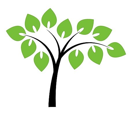 EPS 해외이미지 나무 디자인 계절 실루엣 백그라운드 크리스마스 일러스트 자연 추상 미술 목재 세트 검은색 웹 흰색 소나무 수집 심볼 고립 미니멀 해외202004 해외일러스트 식물 기념일 컬러 무늬 인터넷 재료 문화예술 촬영기법 생태계 파일형식 벡터 이미지허브