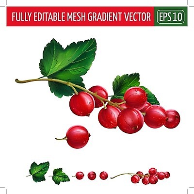 EPS 해외이미지 클립아트 열매 음식 조각 잎 일러스트 재료 포장 자연 디저트 요리 그래픽 장식 빨간색 컬러풀 라벨 주방 식당 수확 신선 맛 먹기 에코 유기농 날것 배지 내추럴 건포도 고립 숙성 채식주의자 현실 해외202004 해외일러스트 식물 웰빙 컬러 컨셉 농업 모션 포도 프레임 환경 상점 생태계 채식 건과일 파일형식 벡터 이미지허브