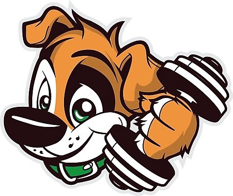 EPS 해외이미지 동물 캐릭터 일러스트 반려동물 힘 업무 개 만화 철 체육관 긍정 마스코트 해외202004 해외일러스트 일러캐릭터 컨셉 포유류 작업 파일형식 벡터 이미지허브